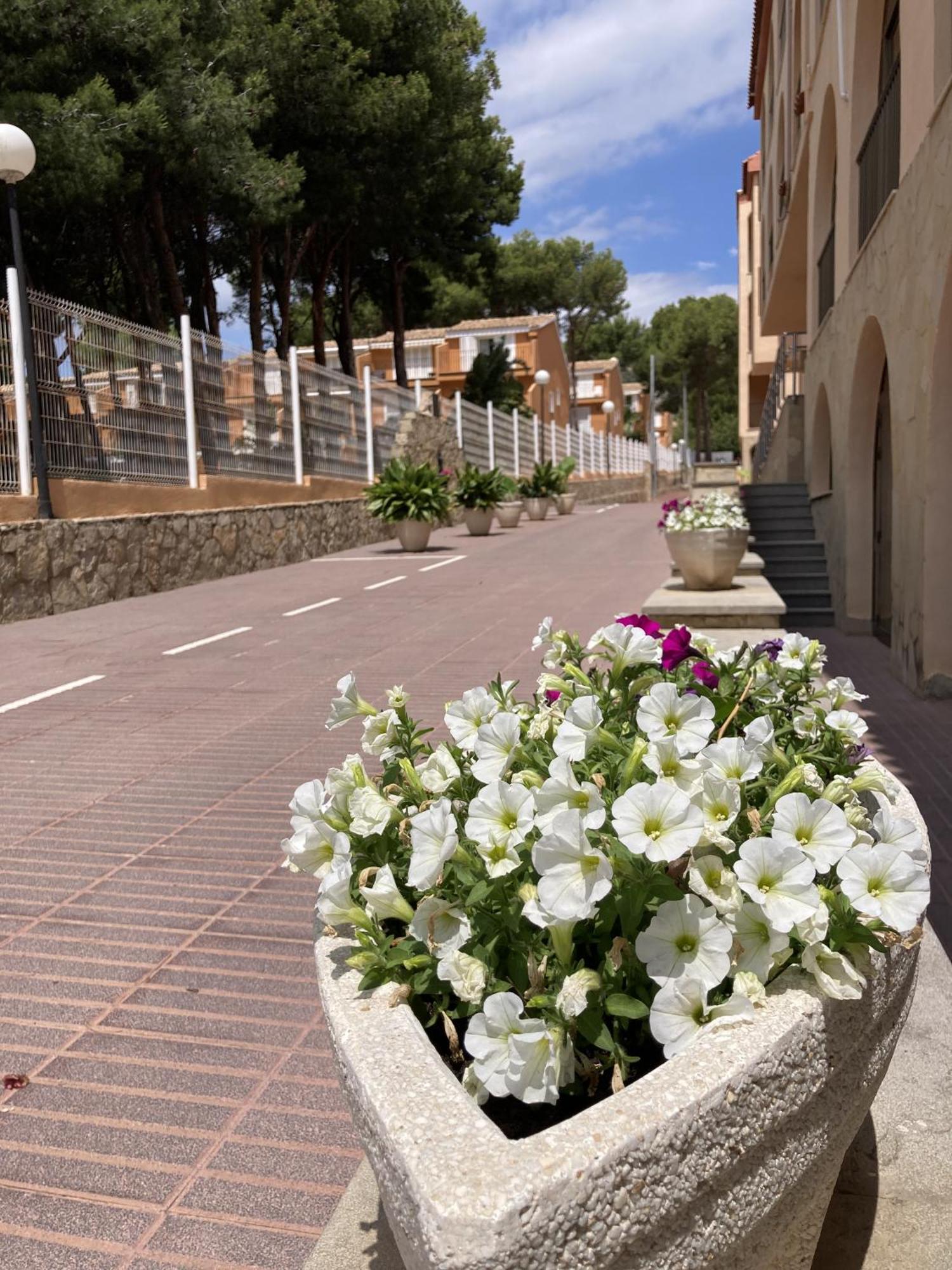 Hotel Sancho III Alcoceber Exterior photo